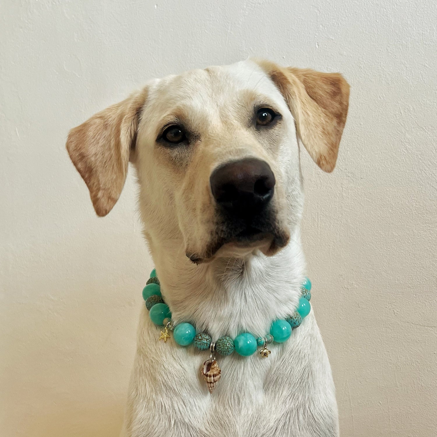 'Rock Pool' Beaded Collar | Necklace image 1